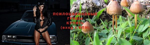 СК Верхний Тагил