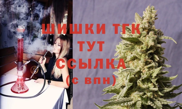 СК Верхний Тагил