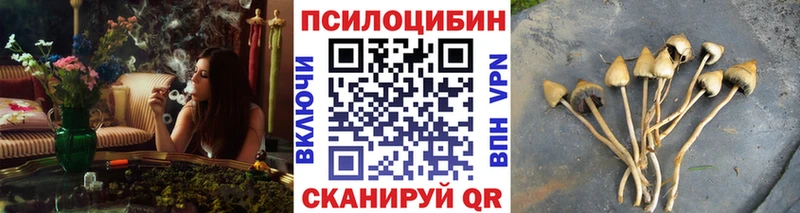 Псилоцибиновые грибы мухоморы  наркошоп  Прокопьевск 