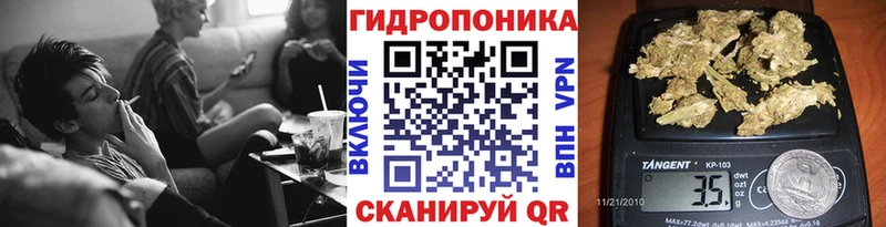 Бошки Шишки Amnesia  Прокопьевск 